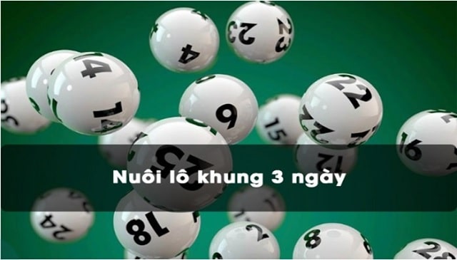 Nuôi lô khung 3 ngày là mốc thời gian hợp lý nhất