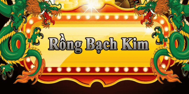 Rồng Bạch Kim 555